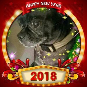 Meet your Posher, Lynda